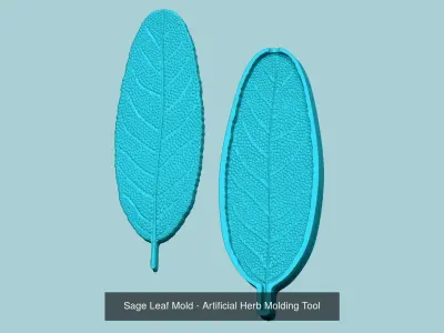 10 Culinary Herbs Leaf Molds - Artificial Molding Tools 3D Model Collection