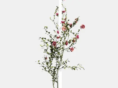 rose flower 3D model