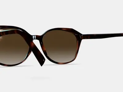 Nancy Low Bridge Fit Sunglasses in Cognac Tortoise 3D model