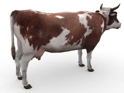 Dairy Cow Low-poly 3D model