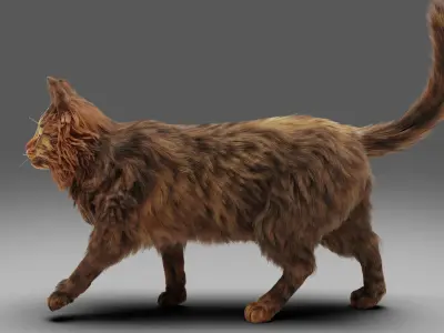 Fur Cat Grey Rigged Low-poly 3D model