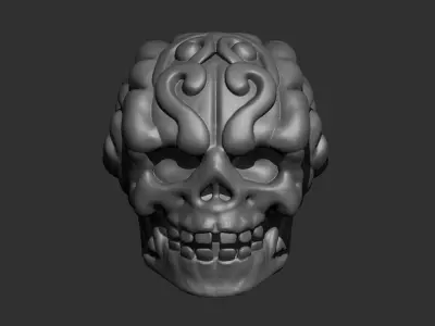 skull 3D print model