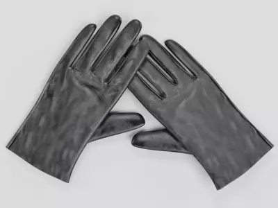 -Leather Gloves - Women- 3D model