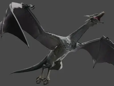 Bipedal Dragon Wyvern  3D model
