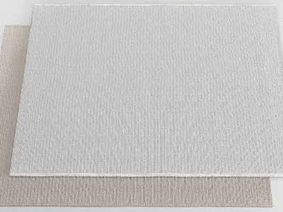 Custom Carpet 02 3D model