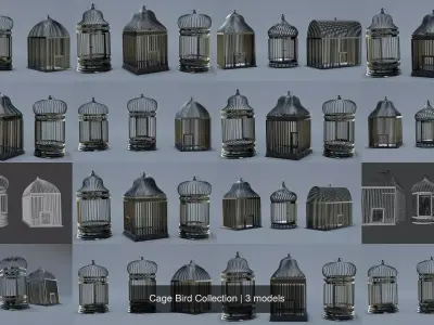 Cage Bird Collection