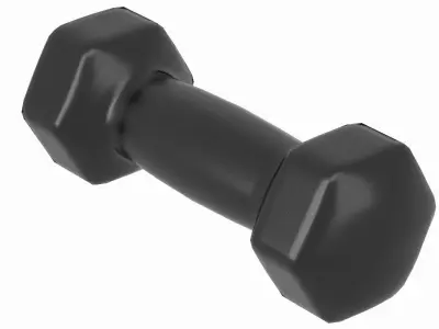 Dumbbell Hex 3D model