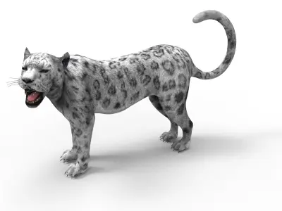 3D Snow leopard Rigged Model Low-poly 3D model