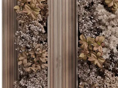 Plants Autumn And Dried Set Partition In Wooden frame 3D model
