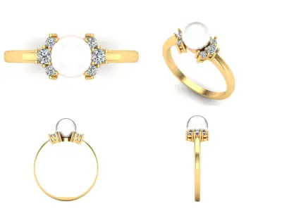 Ring 48 3D print model