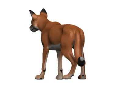 Caracal Low-poly 3D model