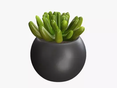 Potted plant decorative 01 3D model