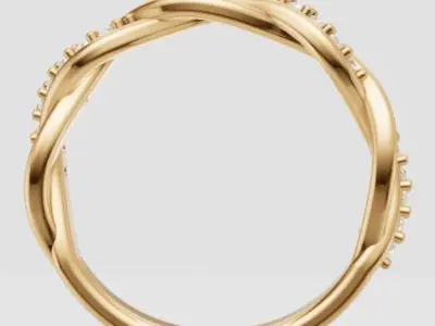 Braided Ring  3D print model