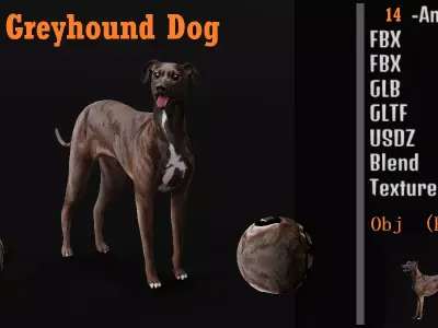 Italian Greyhound Dog Low-poly 3D model
