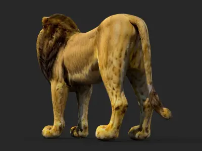 Lion Cartoon Low-poly 3D model buy