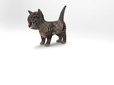 3D wild cat low poly  Low-poly 3D model