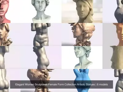 Elegant Women Sculptures Female Form Collection Artistic Statues