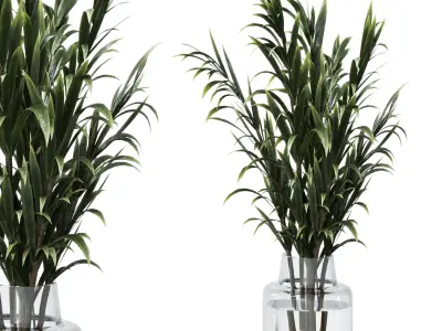 Collection Green Plants Bouquet Indoor 12 Low-poly 3D model