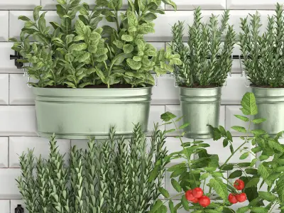 Decorative plants for the kitchen on railing 380 3 3D model