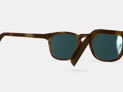 Elio Sunglasses in Black Walnut 3D model
