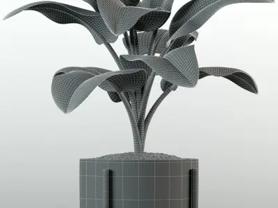 Plants collection 79 Modernica pots 3D model