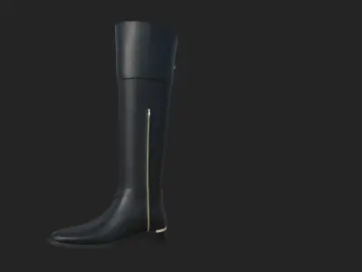 Women Coral Boots 3D model