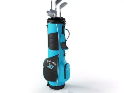 Callway Golf Stick With Bag 3D model