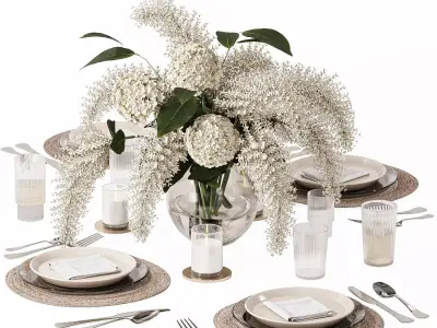 Table setting-H29 3D model