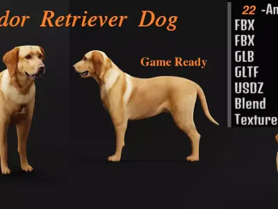 Labrador Retriever Dog  Low-poly 3D model