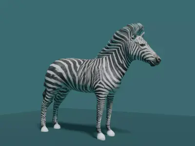 ZEBRA Low-poly 3D model buy