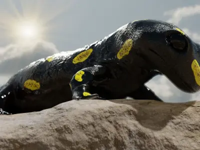 Salamander 3D model spotted Low-poly 3D model