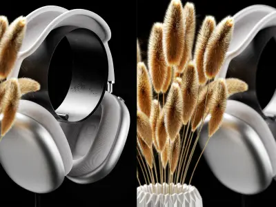 Apple Airpod Iwatch Iphone With Dry Plant Decorative Set 3D model