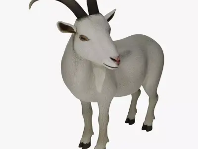 Wild Goat 3D model