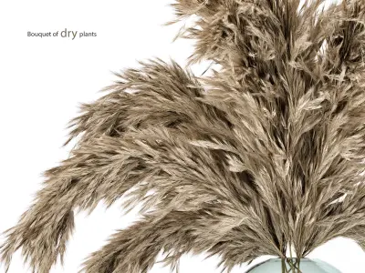 Dried flower- bouquet 006  3D model