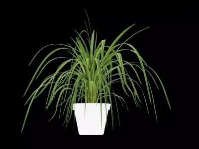 Plant Pot Decor Free 3D model