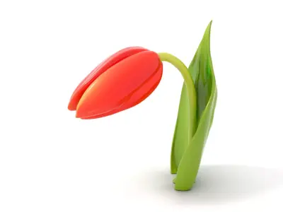 Elegant Red Tulip model pack Low-poly 3D model