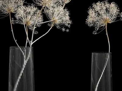 Bouquets Of Dried Heracleum Flowers And Decor 3D model