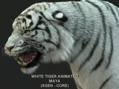 White Bengal Tiger Animated Xgen core 3D model