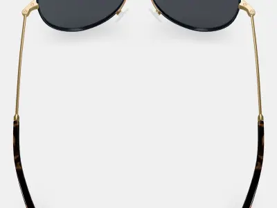 Raider Sunglasses in Brushed Ink with Polished Gold 3D model