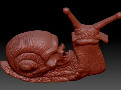 Snail skull 3D print model