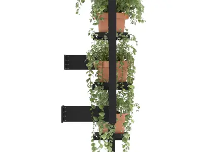 Boho Hanging Plants 04 3D model