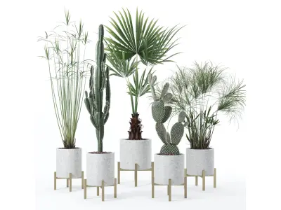 Plants collection 123 3D model