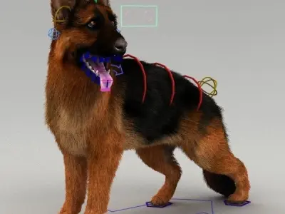 Rigged Dog 3D model