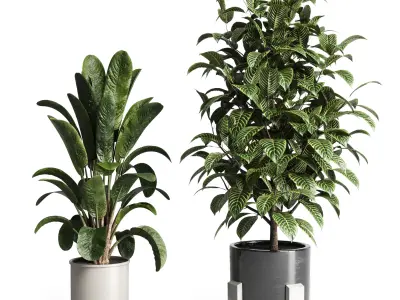 Collection indoor plant 276 pot concrete dirt vase 3D model