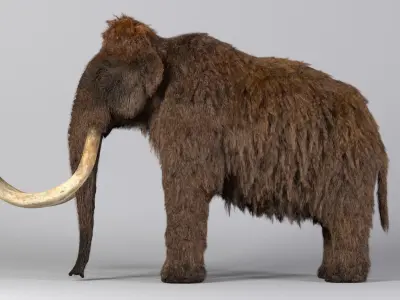 Mammoth-Rig-Maya woolly mammoth 3D model