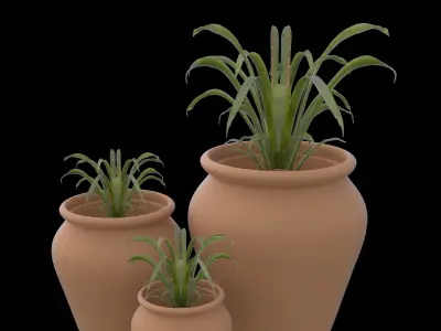 Clay pots with plants 3D print model