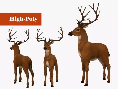 Deer  rig  high-poly  textured 3D model