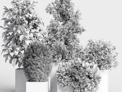 Outdoor plant Collection 113 stand plant box 3D model