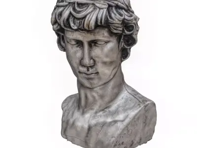 head sculpt Free low-poly 3D model