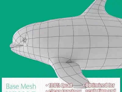 Whale Base Mesh Low-poly 3D model